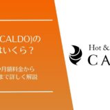 カルド(CALDO)の料金